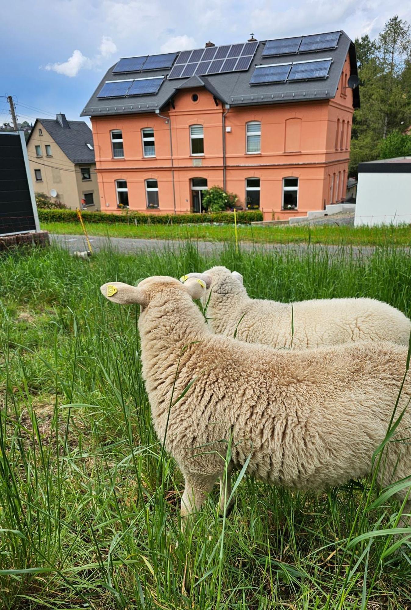 West - Alte Schule Sachswitz Greiz